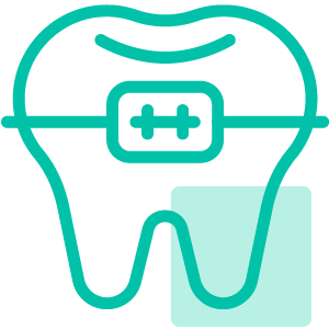 Dental Bridges